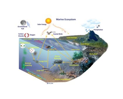 ecosystem