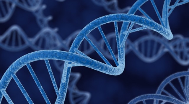 Discovering DNA: what you don’t know