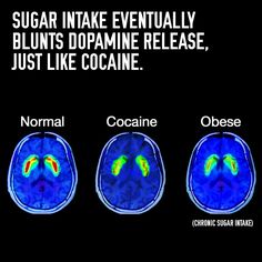 Can food control you? Food or drug?