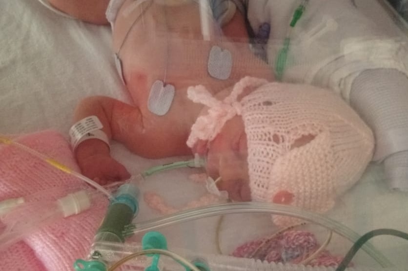 Lidia and her parents are asking for help